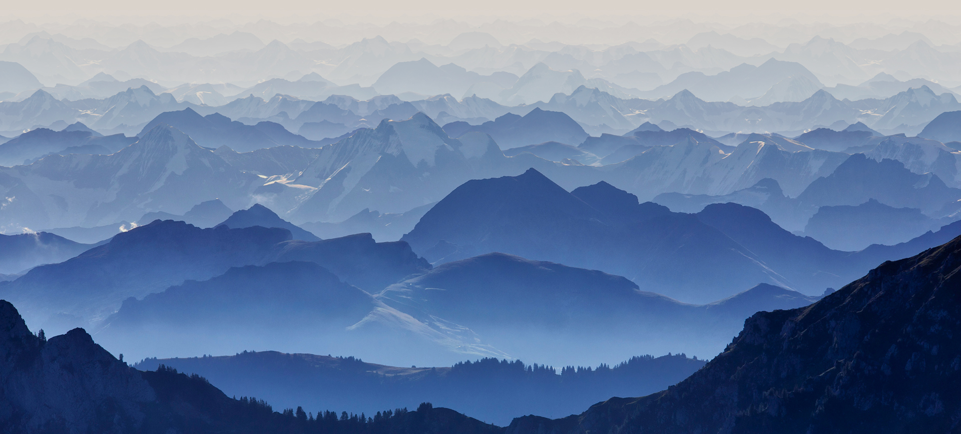 嘉興市南湖齋食品股份有限公司